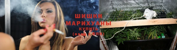 дурь Богородицк