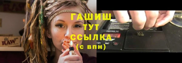 молекула духа Богданович