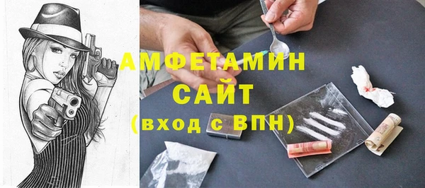 молекула духа Богданович