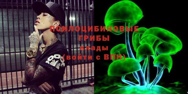 крисы Арсеньев