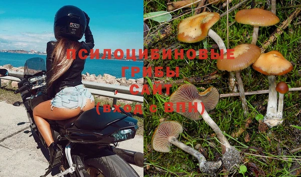 каннабис Снежногорск