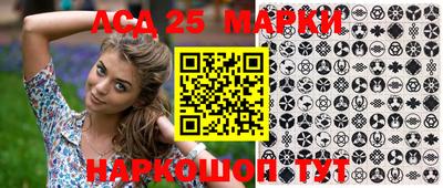 крисы Новодвинск