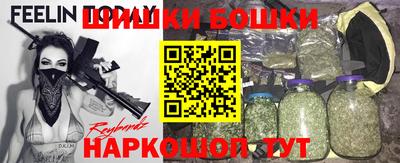 крисы Новодвинск