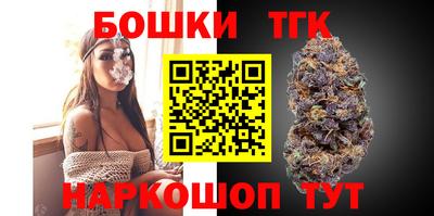 крисы Новодвинск