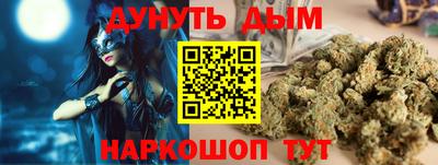 крисы Новодвинск