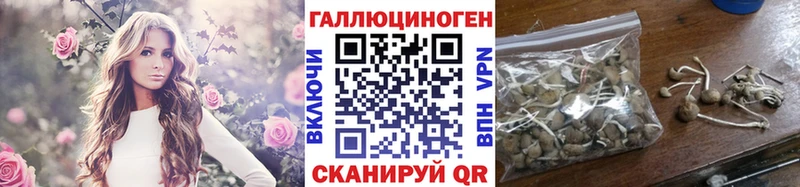 Галлюциногенные грибы Psilocybe Серов