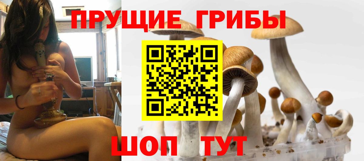 Галлюциногенные грибы GOLDEN TEACHER Серов