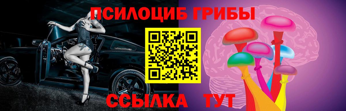 Серов  Псилоцибиновые грибы Psilocybe  Псилоцибиновые грибы Psilocybe  Вход с VPN 